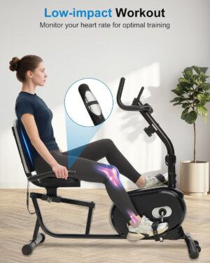 ECHANFIT Recumbent Exercise Bike for Home - 380LBS Weight Capacity, Exercise Bike with Smart Workout APP, 16-Level Magnetic Resistance, LCD Display, Comfortable Seat