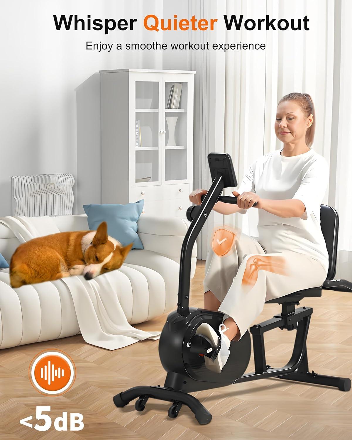 Finding Our Flow: ECHANFIT Recumbent Bike for Every Home Gym